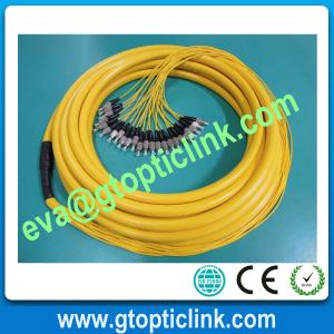 Quality FC 12cores Fiber Optic Pigtail/Bundle Multi-fiber Pigtail wholesale