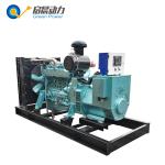 10-800KW Natural Gas Generator Price