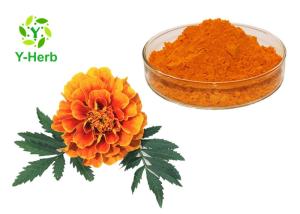 Quality Natural Pigment Xanthophyll Marigold Flower Herbal Extract Powder wholesale