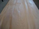 Rotary Cut/Peeled Natural Agathis Wood Veneer Sheet