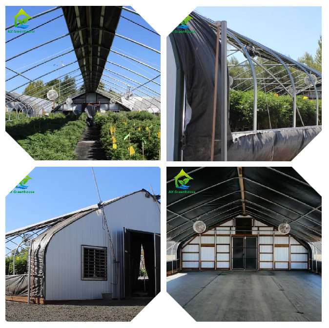 Commercial Backyard Light Dep Greenhouse Plastic Film Hot Galvanized Steel Greenhouse