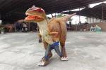 Real Looking Dinosaur Costume Water Resistant For Outdoor Playground