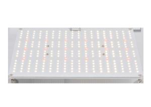 Quality 3500K AC85V Horticulture LED Grow Lights wholesale