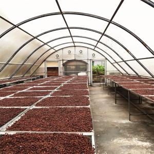 Quality Fast Delivery 8*26 Meters Single Sun Dryer Greenhouse Food Drying Solar Dry Greenhouse wholesale