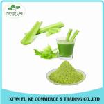 Natural Celery / Apium graveolens Juice Powder