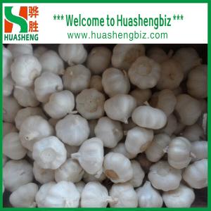 Quality Fresh White Garlic wholesale