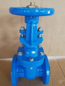 Quality (bs) Cast Iron Metal Gate Valve O&amp;Y flanged ends wholesale