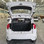 Raysince factory hot sales model 5 door electric car adult vehicle 4 Seats