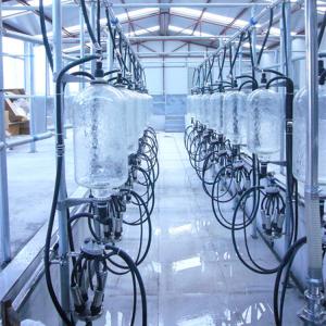 Quality Automatic Glass Milk Measure Herringbone Milking Parlor System wholesale
