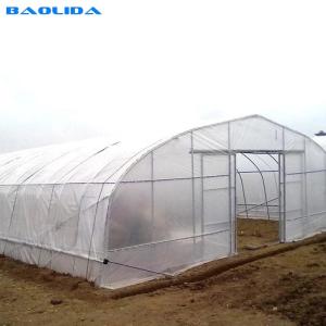 Quality UV Resistant Single Span Clear Plastic Greenhouse Polyethylene Film Greenhouse wholesale