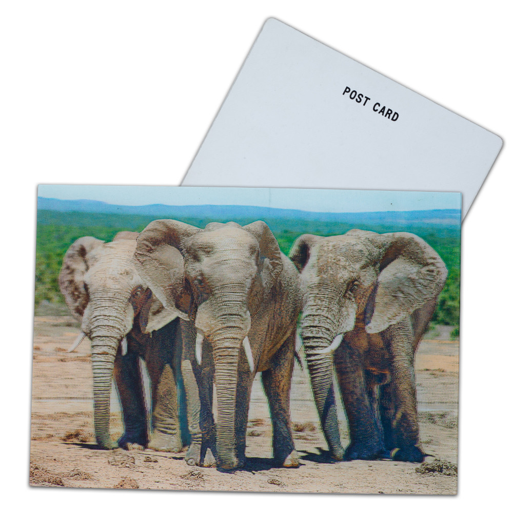 Negotiation Status read failed 3D Lenticular Postcards for Market
