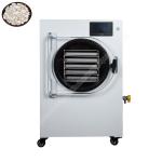 lyophilization machine /lyophilizer freeze dryer/fruit freeze dryer