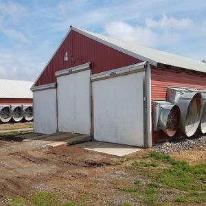 Quality Modern H Beam Steel Structure Poultry House Long Span Steel Frame Farm Buildings wholesale