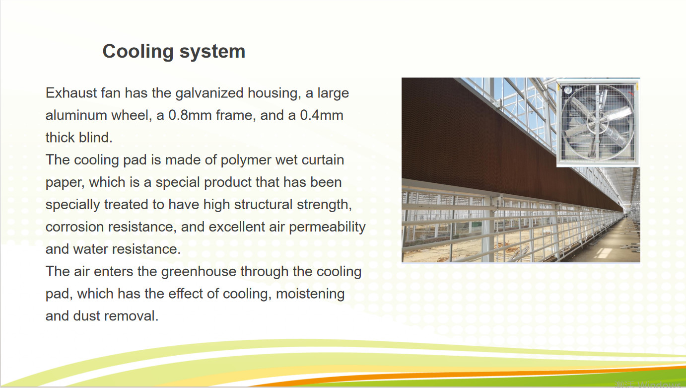 Strong Structure Galvanized Venlo Type Greenhouse Commerical Green House