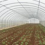 Hot-dip Galvanized Steel Pipe Framework Tunnel Mini Garden Greenhouse for