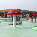 Commercial Fiberglass Duck Spray Water Park Equipment Children Outdoor Games