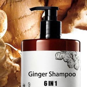 Quality Organic Ginger Anti Hair Loss Shampoo for Men and Women Unisex Adults Vegan Hair Care wholesale