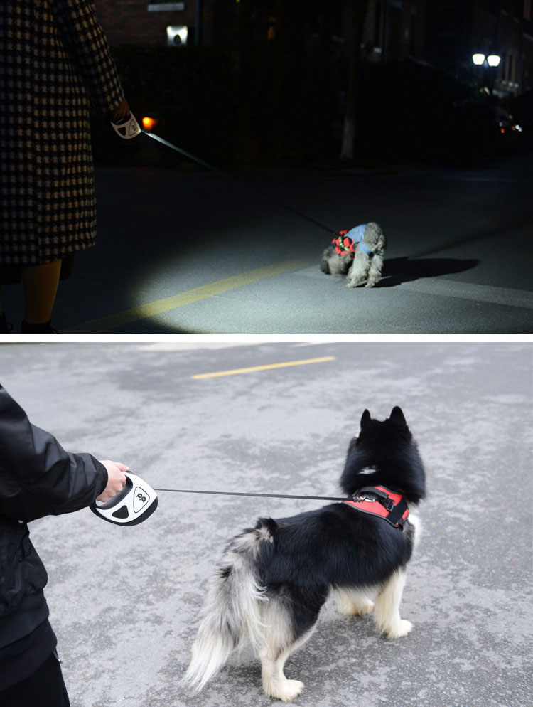 Small Medium Lighted Dog Leash Retractable 10ft 16ft Extendable Dog Lead With Torch