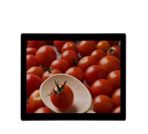 Quality 19&quot; Industrial Touch Screen Monitor VGA DVI Input Kiosks Waterproof LCD Monitor wholesale