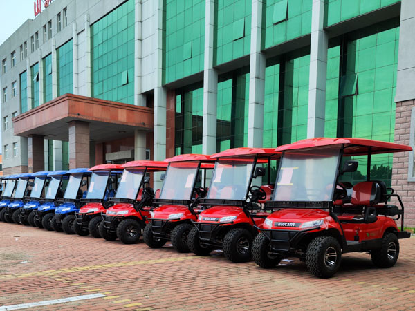 Customized Off Road NEV Golf Cart 48Volt 60v 72v 30km/H