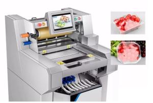 Quality 1415 Mm Multi Packing Machine Tray Sealing 3kg Food Fresh Fruit Cling Film wholesale
