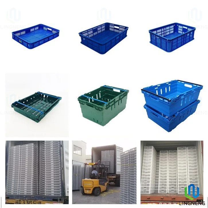 Rectangle Stackable Transparent Plastic Egg Crate Color Customized