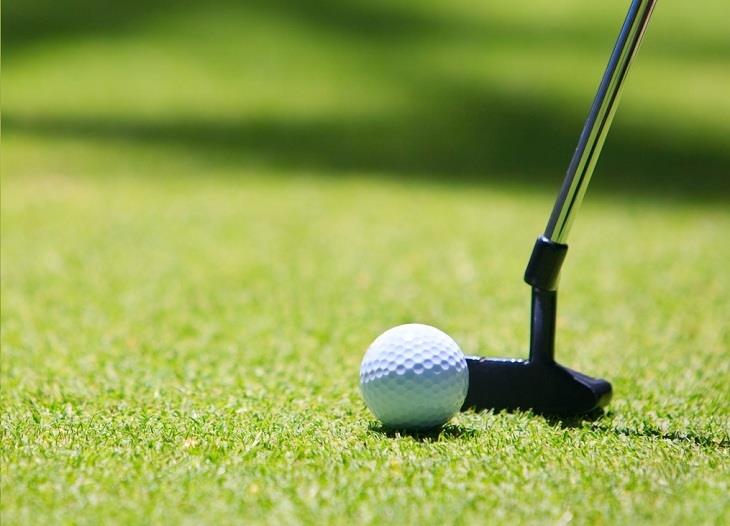 Artificial Grass Golf Green Good Elasticity For Croquet Hockey Stadium