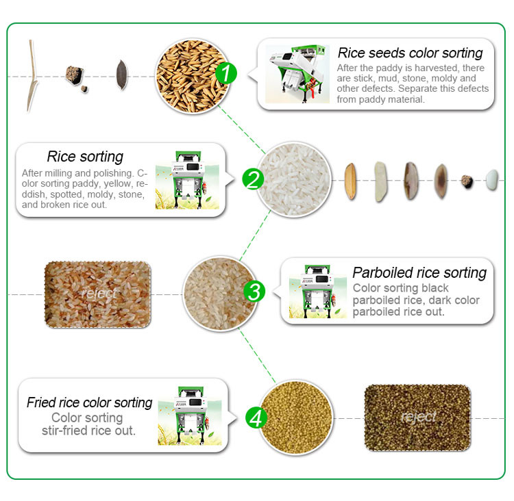 2 Channels Rice Sorting Machine