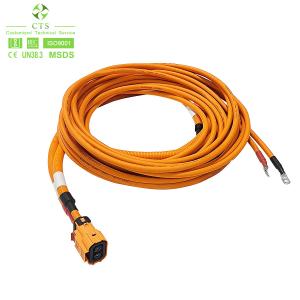 Quality CTS Industrial Wiring Harness for Motorcycle Auto Electric Vehicle High Voltage Power Cable wholesale