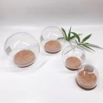 1 Inch Tapered Natural Cork Lids Plug Glass Round Dome DIY Odorless Toxicless