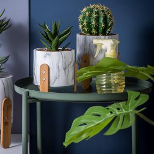 Quality Novelty Flower Pots Round Shape Plant Pots Mini Pot Planters Cement Plant Pots Succulents Pots wholesale
