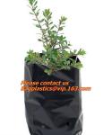Horticulture, NURSERY, PLANTER, SEED, PLASTIC GROW BAGS, HYDROPONICS, FLOWERPOTS