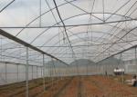 Agriculture Plastic Film Greenhouse With Inside Shading And Insulation