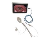 Safe OEM Video Reinforced Laryngeal Mask Medical