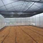 high performance High Tunnel Sawtooth Greenhouse Agricultural ISO9001