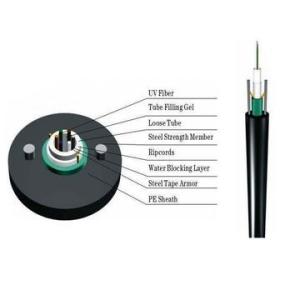 Quality Fiber Optic 12 Core GYXTW SM Unitube Armored Fiber Cable Low Dispersion wholesale