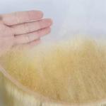 Blonde 613 Transparent HD Lace Frontal Brazilian Straight Human Hair Blonde