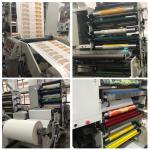 High Speed Plastic Manufacturing Machine 4 Color Paper Cup Flexo Printing