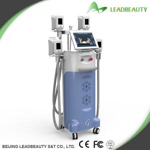 Quality Cryolipoltsis weight loss machine with 1000W output wholesale