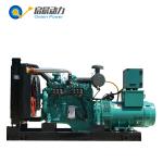 10 - 600KW Biogas Generator Biogas Electric Generator for Sale