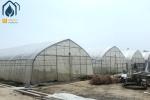 OEM Easily Assembled Tunnel Greenhouse Small Vegetables Farming Greenhouse