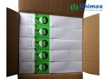 Pleated Hygienic Paper Face Mask
