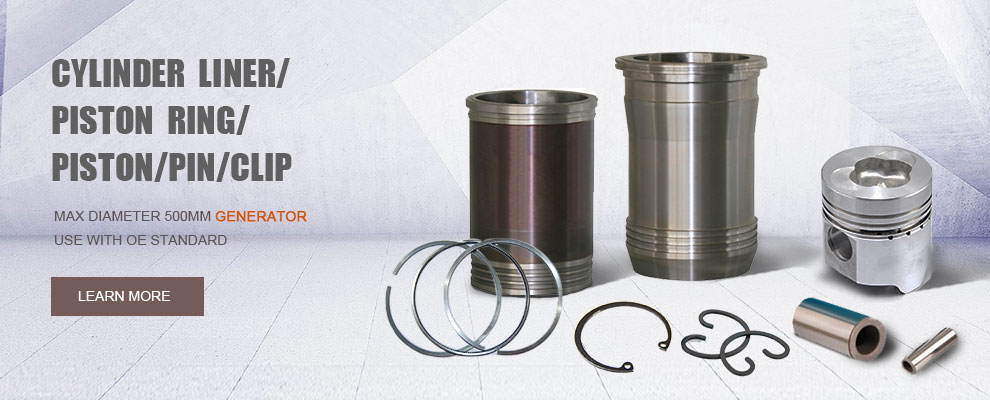 Engine forging crankshaft Piston Ring cylinder heads Cylinder liner kit Engine Timing chain kit