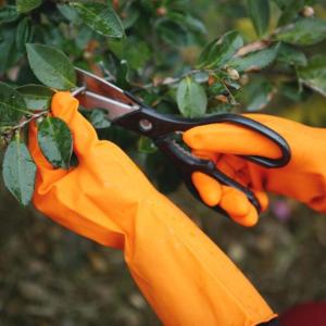Quality Excellent Grip Durable Garden Gloves Tear Resistant Kitchen Rubber Gloves wholesale