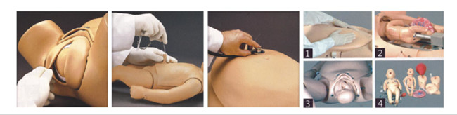 CPR Manikins Obstetric Birthing Maternal & Neonatal Delivery Emergency Simulator