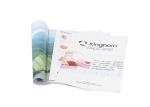 Advertising Brochure Printing Coated Paper Offset Printing A4 A5 A6 Size