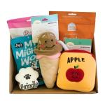 Yummy Treats Personalized Dog Toy Box Festive Holiday Themed