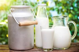 Quality Safe Natural Pure Milk Flavor Powder With Fruit Banana Sweetness wholesale