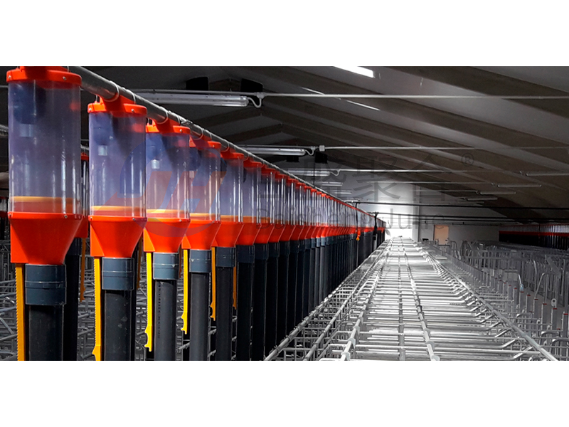 ISO9001 2008/CE/BV Certified Pig Farming Business Plan for Customized Cages and Pen