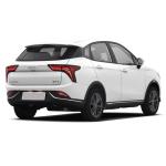 Left Hand Drive Neta V 2022 Tide 400 Lite Affordable Chinese Electric Car with